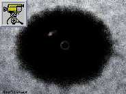 Rappresentazione artistica del candidato buco nero Cygnus X-1