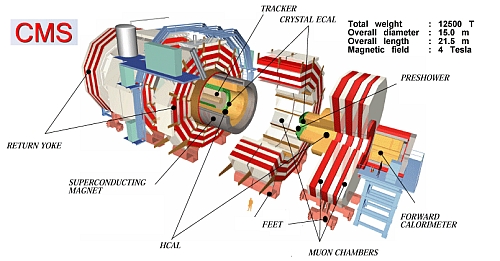 cms layout